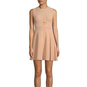 Ronny Kobo Valerie Cutout Knit Mini Dress
